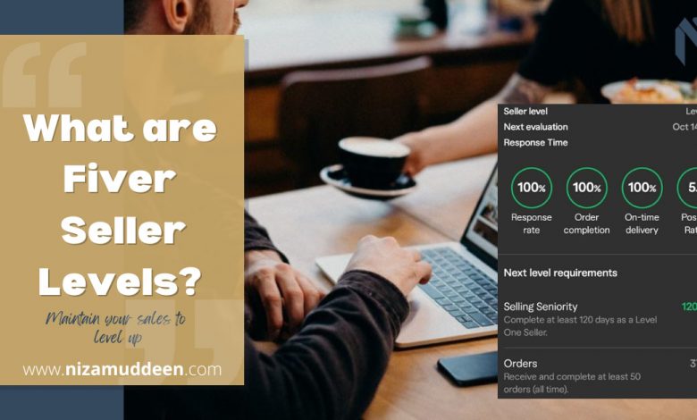 What are Fiverr Seller Levels? Fiverr Guide!
